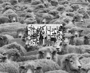 uicideboy-grey-sheep-ii