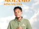 king-salama-–-molamo-part-2-official-audio-2022
