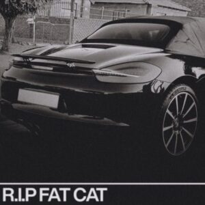 DOWNLOAD-Thato-Saul-–-RIP-Fat-Cat-–