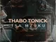 Thabo-Tonick-–-Tsa-Mzuku-mp3-dow