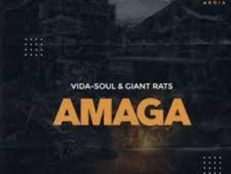 1653387880 DOWNLOAD-Vida-soul-Giant-Rats-–-Amaga-Original-Mix-–