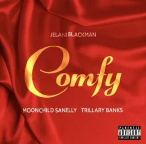 DOWNLOAD-Jelani-Blackman-–-Comfy-ft-Moonchild-Sanelly-Trillary.webp