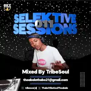 DOWNLOAD-TribeSoul-–-Selektive-Sessions-011-Mix-–.webp