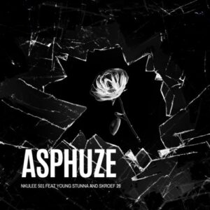 DOWNLOAD-Young-Stunna-–-Asphuze-ft-Nkulee-501-Skroef
