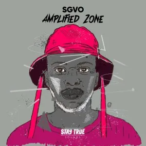 DOWNLOAD-SGVO-–-Amplified-Zone-–.webp