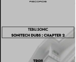 tebu.sonic-–-sonitech-dubs-chapter-2