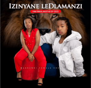 DOWNLOAD-Izinyane-le-Dlamanzi-–-Yimi-inkalakatha-–