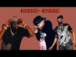 DOWNLOAD-2woShort-x-DJ-Maphorisa-–-Nanini-Nanini-Ft-Felo.webp