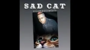 DOWNLOAD-Killorbeezbeatz-–-Sad-Cat-–.webp