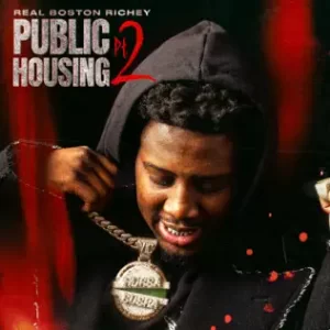 Public-Housing-Pt.-2-Real-Boston-Richey