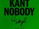 Kant Nobody (feat. DMX) - Single Lil Wayne