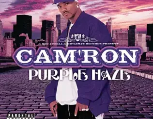 Purple Haze Cam'ron