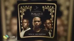 Fatso 98 & Deep Essentials - HAIBO (VSOP Mix)
