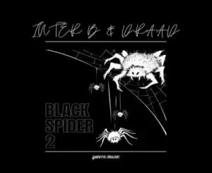 Inter B & Draad - Black Spider 2