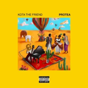 Kota the Friend - Protea