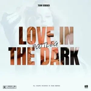 Team Sebenza - Love In The Dark (Bootleg)