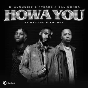 Shaunmusiq - Howa You (feat. Ftears, Daliwonga, Myztro & Xduppy)
