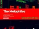 The Melophiles – Fragile Love (Detonated Mix) ft. Rowdy SA & Herbs
