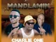 Charlie one - Mandlamin Ft 071Nelly The Master Beat & Mara Bicco Banna
