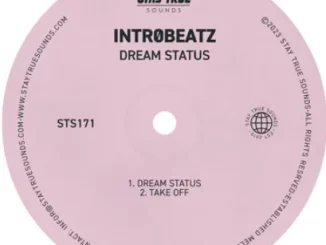 Intr0beatz - Dream Status