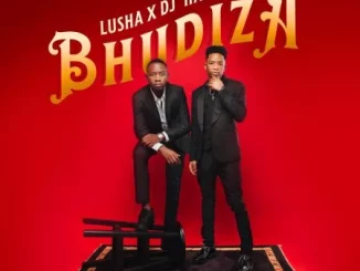 DJ Harvey & Lusha - Bhudiza ft TA MusiQ, Citykingrsa, JFS Music, Blvcknavy & Deeray