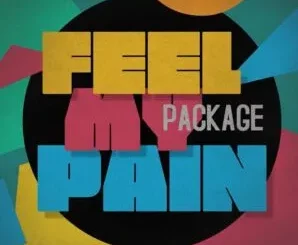 Dj Alaska - Feel My Pain