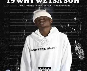 Sizwe Nineteen - 19 Why Wetsa Soh ft. GreedyMeddie, Pitsy & Tumi Sdomane
