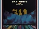 Sky White - 311 (Original Mix)