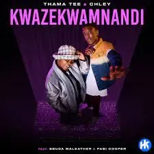 Thama Tee & Chley - Kwazekwamnadi ft. Sbuda Maleather & Pabi Cooper