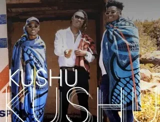 DJ Manzo SA - Kushu Kushu ft. Cheeze Beezy & Tumisho