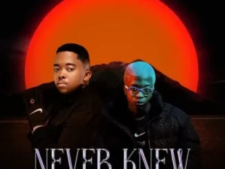 Freddy K & Djy Biza - Never Knew