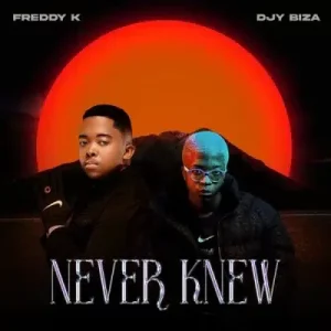 Freddy K & Djy Biza - Nomayini ft Justin99, Pcee & Virgo Deep
