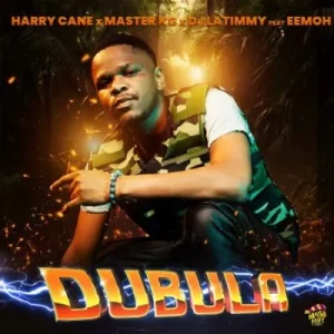 HarryCane, Master KG & DJ LaTimmy - Dubula (Remake) ft Eemoh