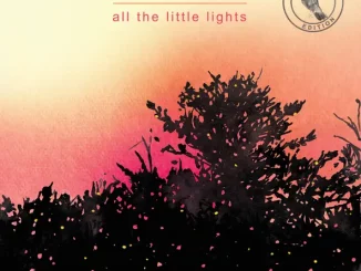 Passenger – All The Little Lights (Anniversary Edition)