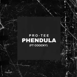 Pro-Tee & Coocky - Pendula