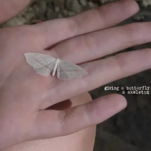 Kanye West – Giving a Butterfly a Skeleton [