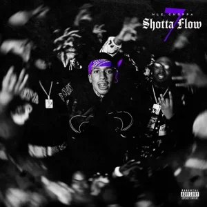 NLE Choppa - Shotta Flow 7[