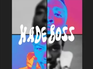 DJ Lag & Mr Nation Thingz - Hade Boss ft K.C Driller