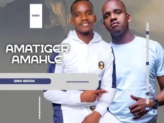 Amatiger Amahle - Qina Ndoda (Song)