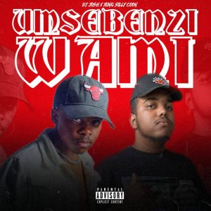 DJ JOSH & Yung Silly Coon - Umsebenzi Wami