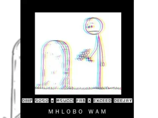 Drip Gogo - Mhlobo Wam ft. Mgucci Fab & Exceed Deejay