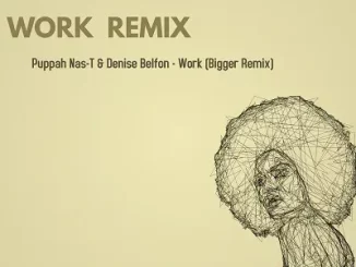 Puppah Nas-T & Denise Belfon - Work (Bigger Remix)