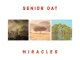 Senior Oat – Miracles