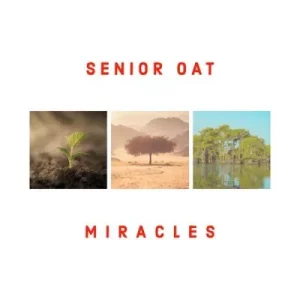Senior Oat - Another Day