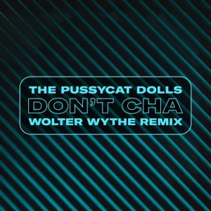 The Pussycat Dolls - Don't Cha (Wolter Wythe Remix)