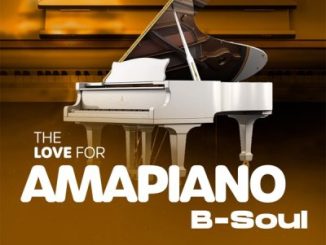 Album: B-Soul - The Love for Amapiano